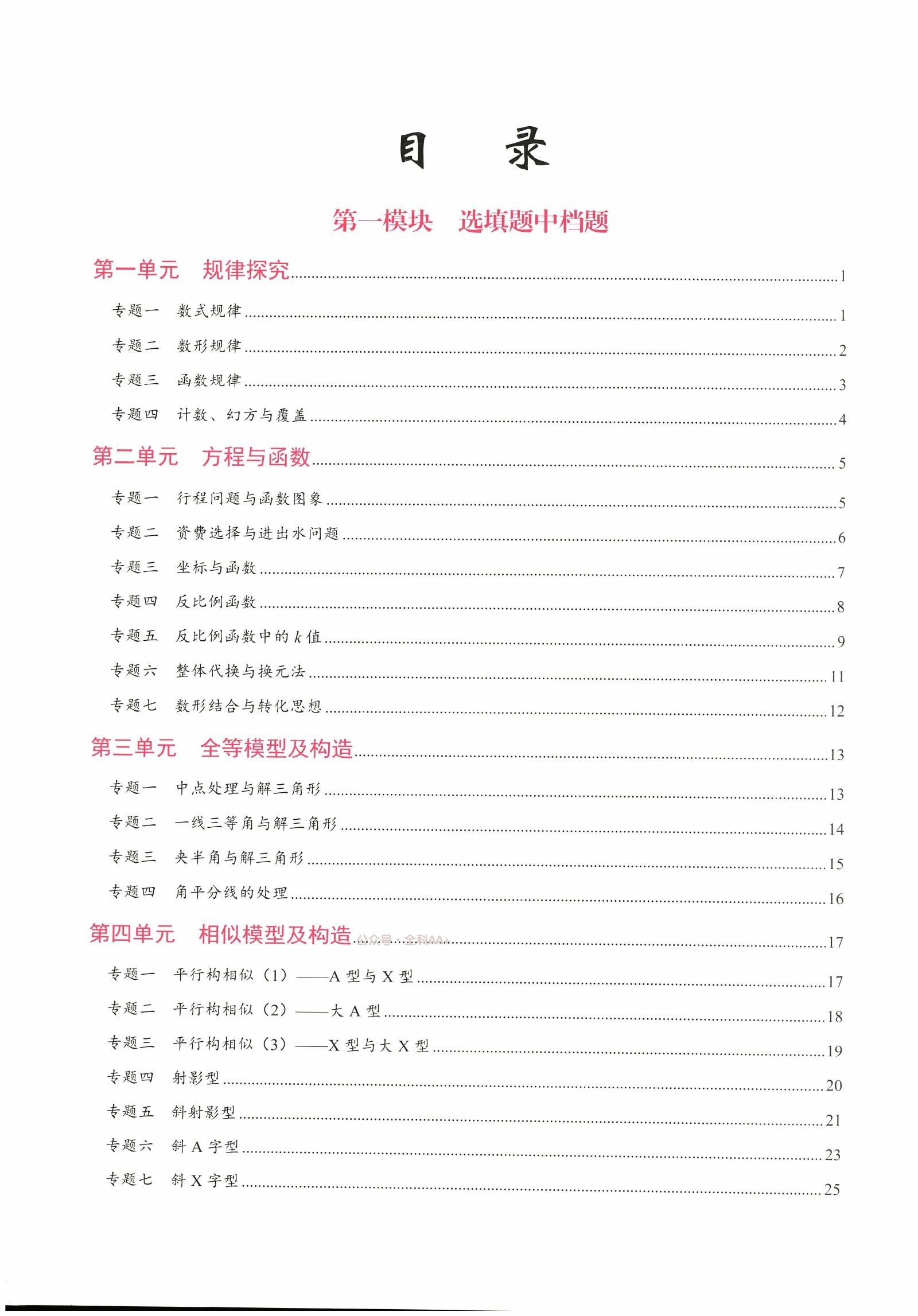 初中数学《核心考点•中考数学专题复习》2025版 04