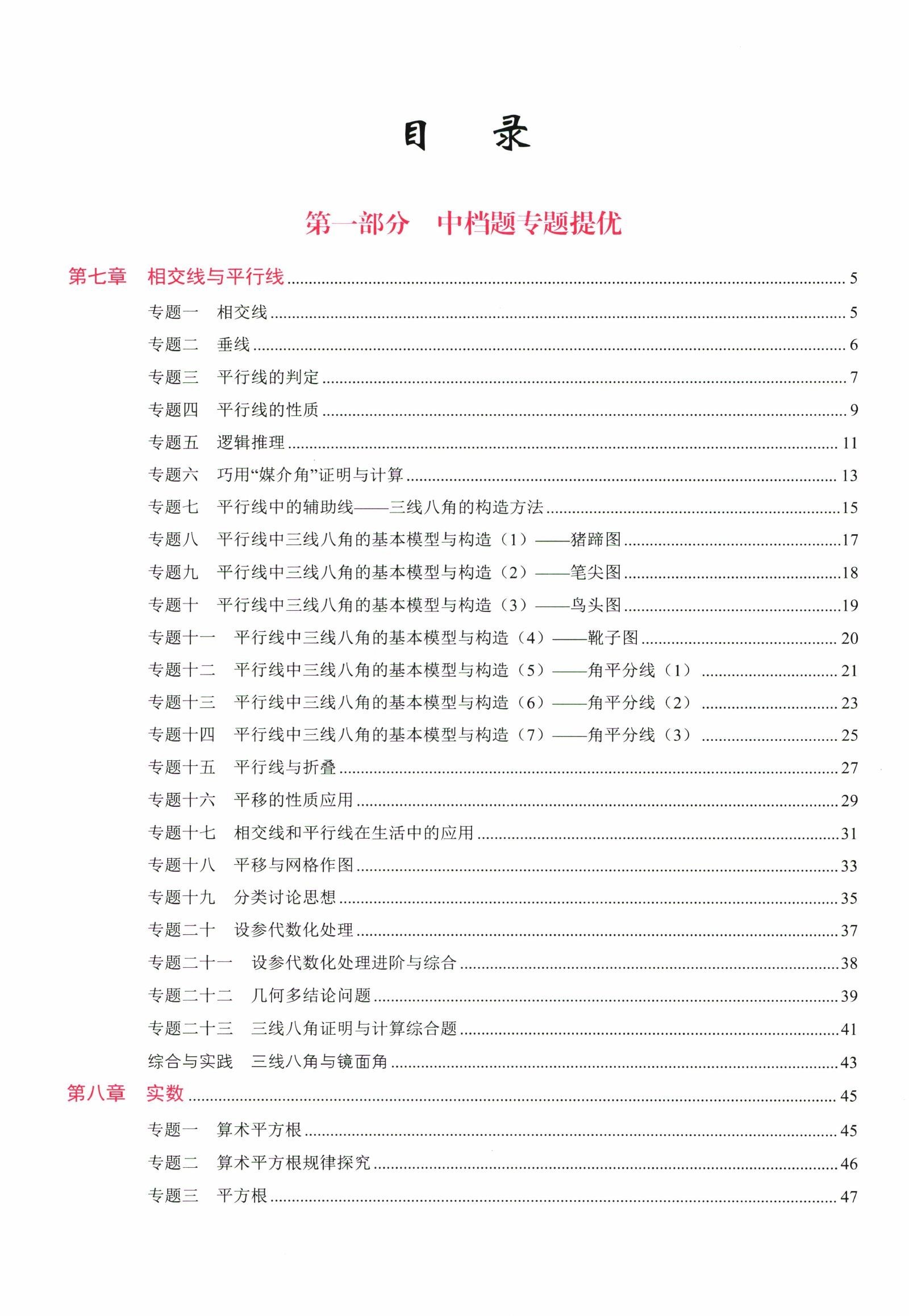 初中数学《核心考点》25版（人教七下） 04