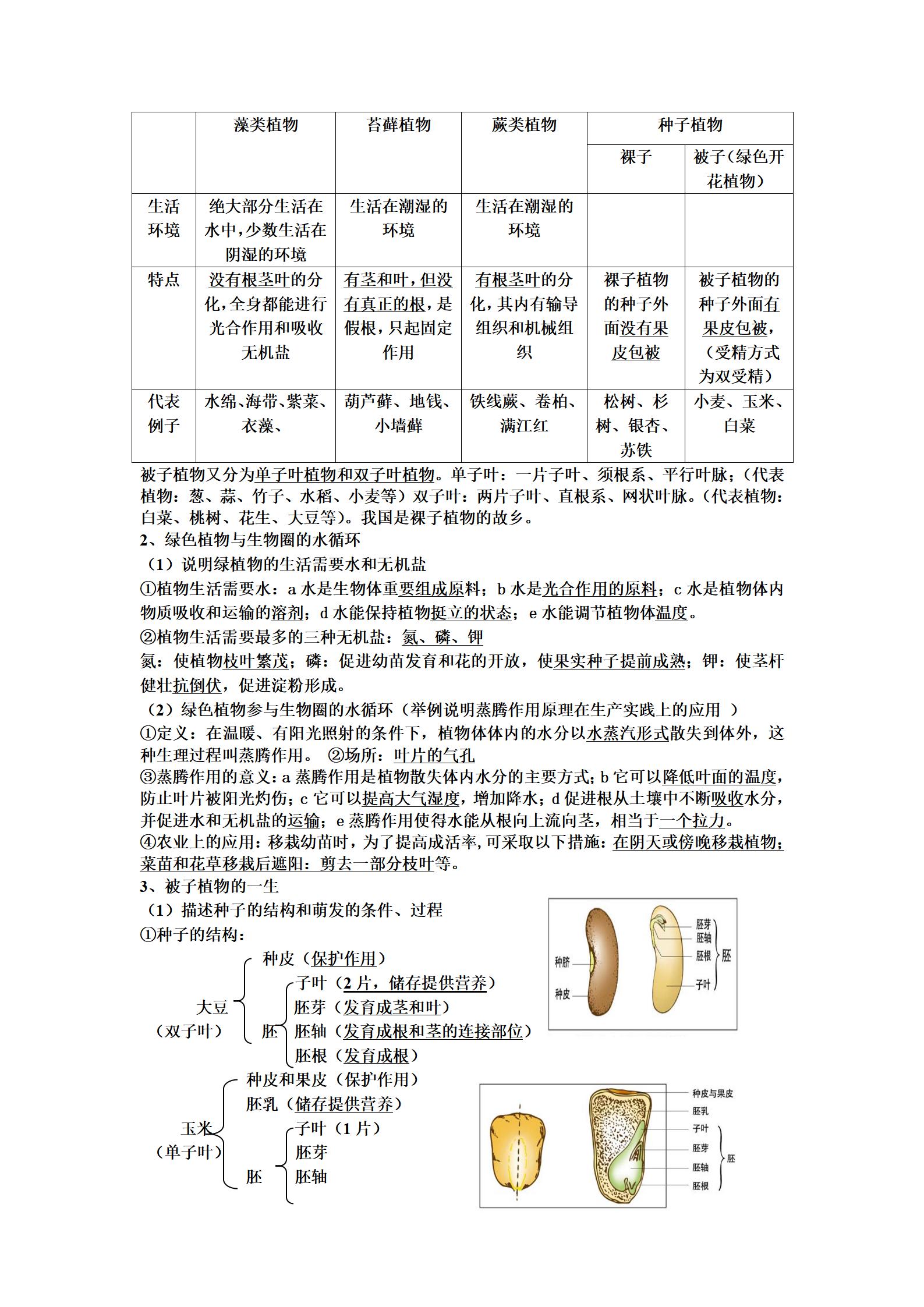 初中生物《中考知识点总结》 04