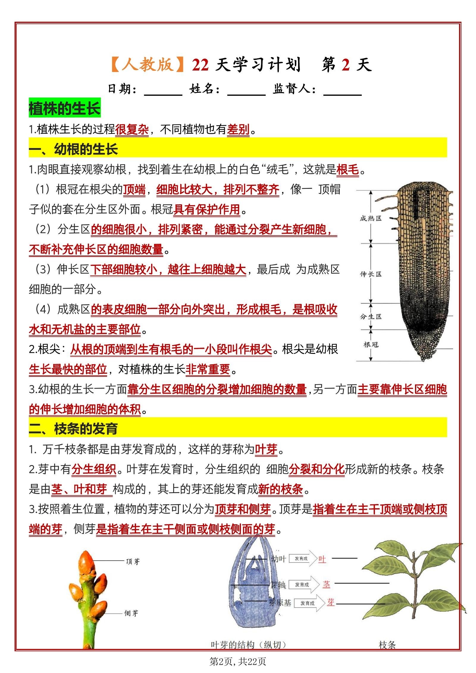 初中生物《知识清单默写小纸条 每日一练》七下 02